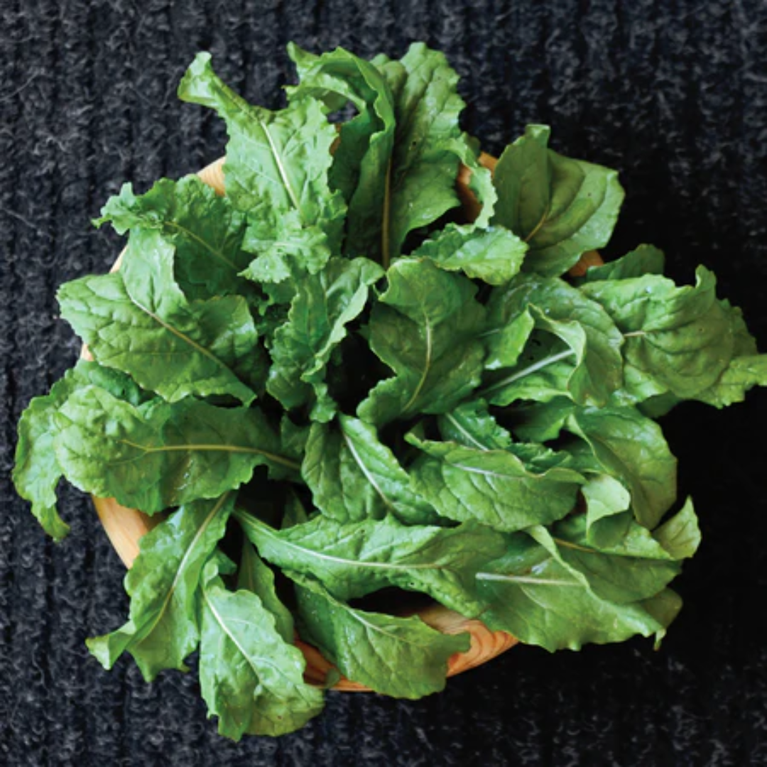 Leafy Green Brigade Premium Salad Greens USA