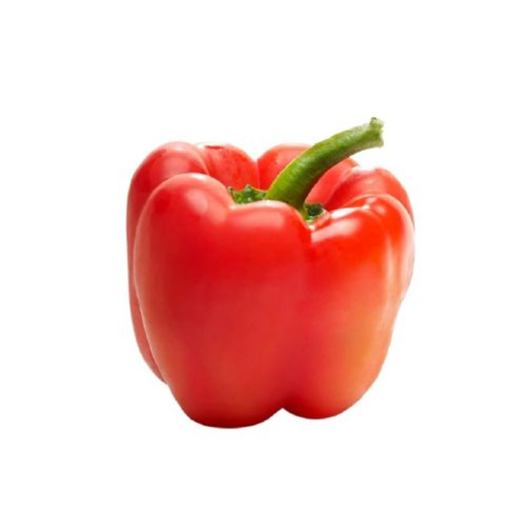 Red Bell Pepper Fresh Da Lat Produce Vietnam
