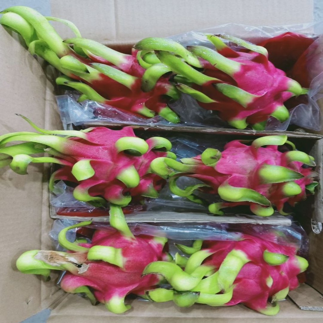 Dragon Fruit 1KG Juicy & Nutritious Vietnam