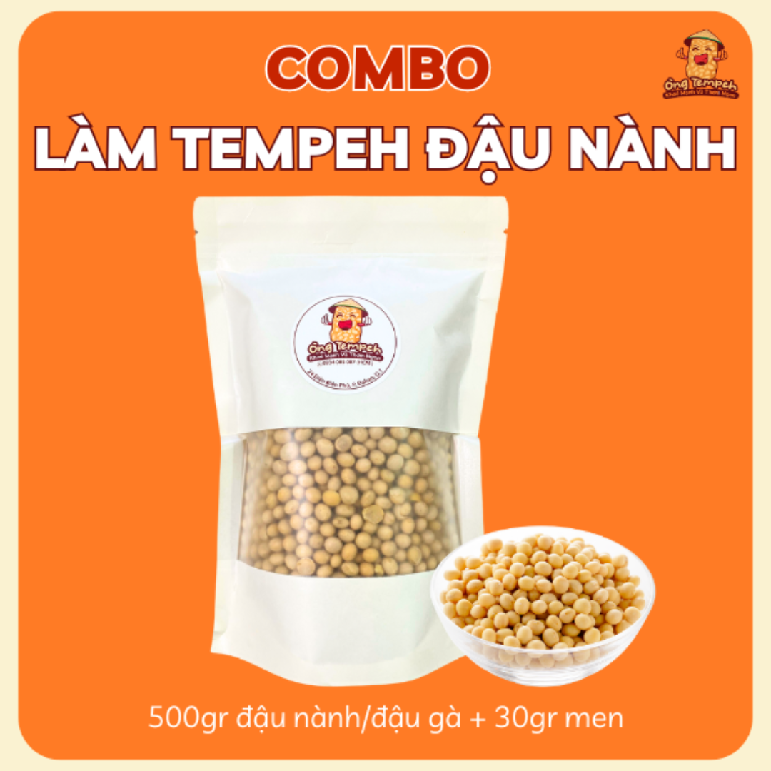 Soy Tempeh Plant-Based Protein Source Vietnam