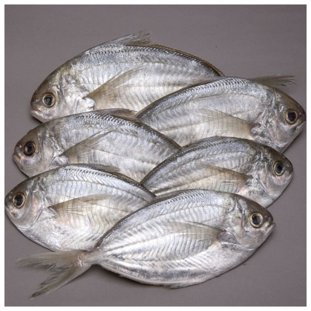 BUTTER FRESH FISH