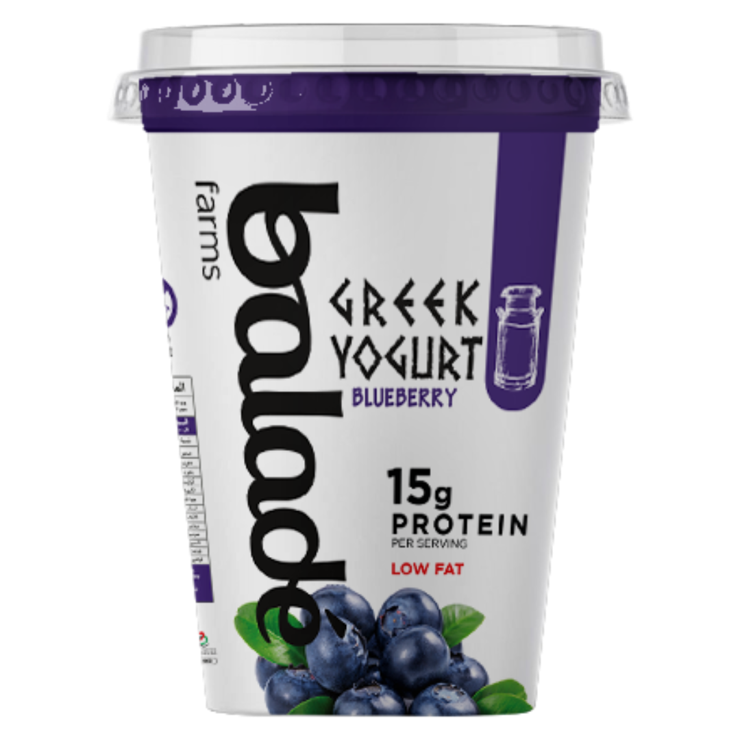 Blueberry Yogurt Flavored Dairy UAE Supplier