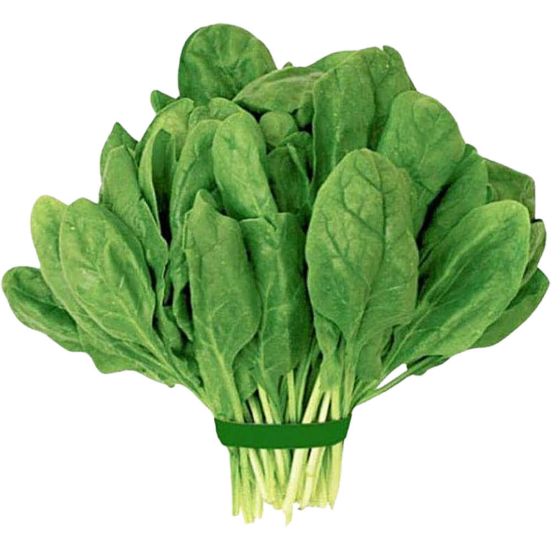 Green Leafy Spinach/Cheera Fresh Harvest UAE