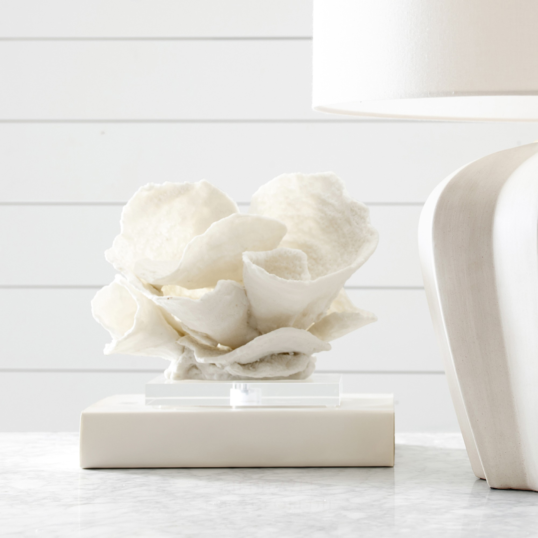 Oversized Coral On Stand Decorative Art for Elegant Spaces