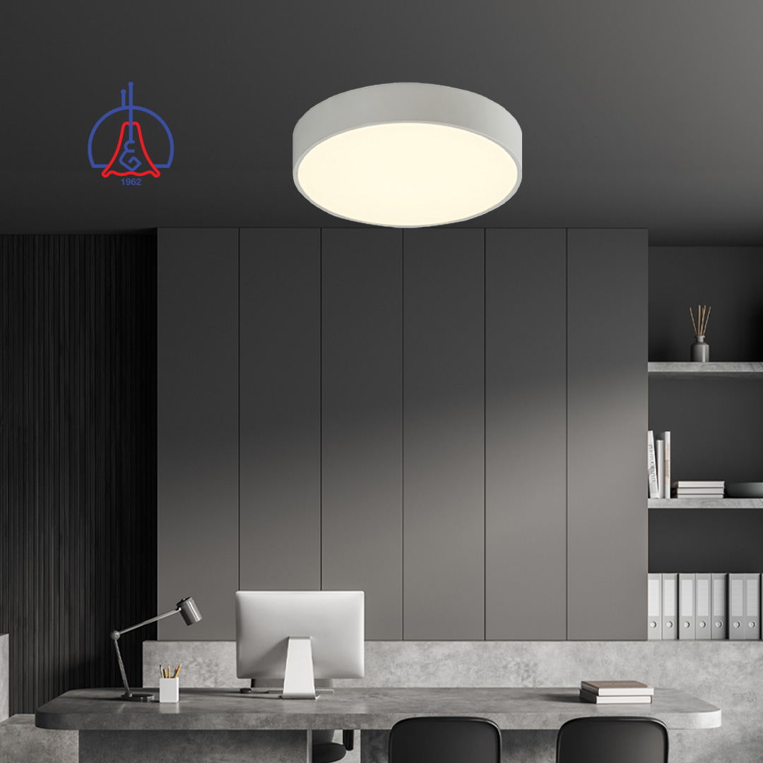 LED Ceiling Light 12W Cool White Efficient Office Lighting