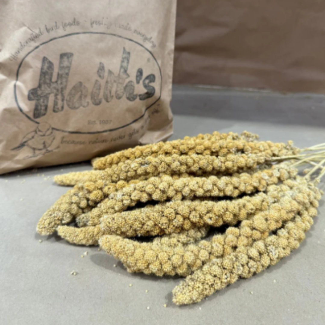 Premium Millet Sprays 1KG For Birds