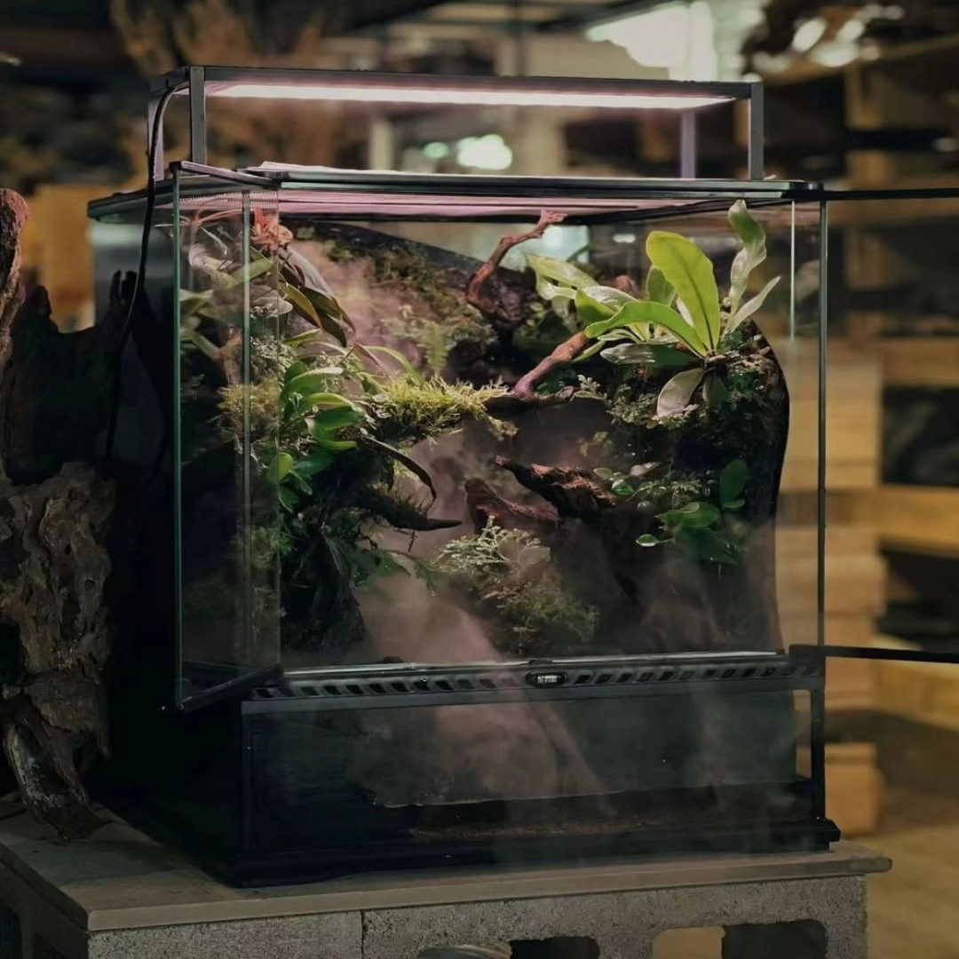 Glass Vivarium For Reptiles And Amphibians