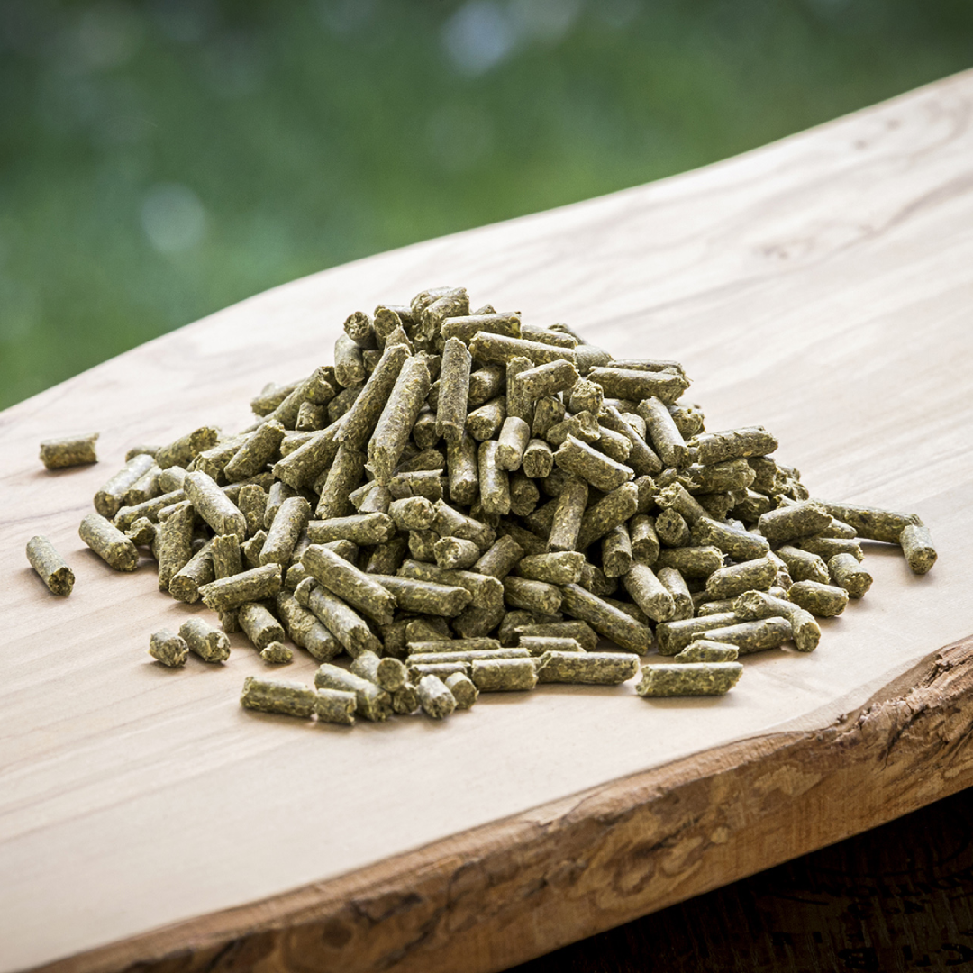 High-Quality Rabbit Pellets For Healthy Rabbits