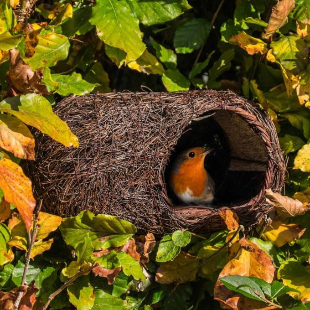 Robin Brushwood Nest Small Bird House Outdoor