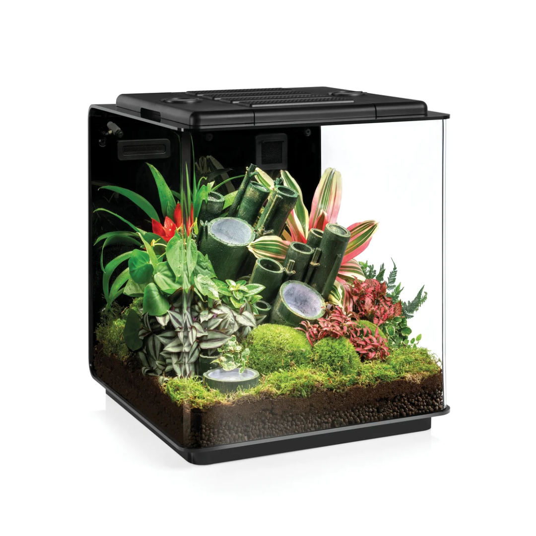 Biorb Earth 125 Vivarium For Reptiles
