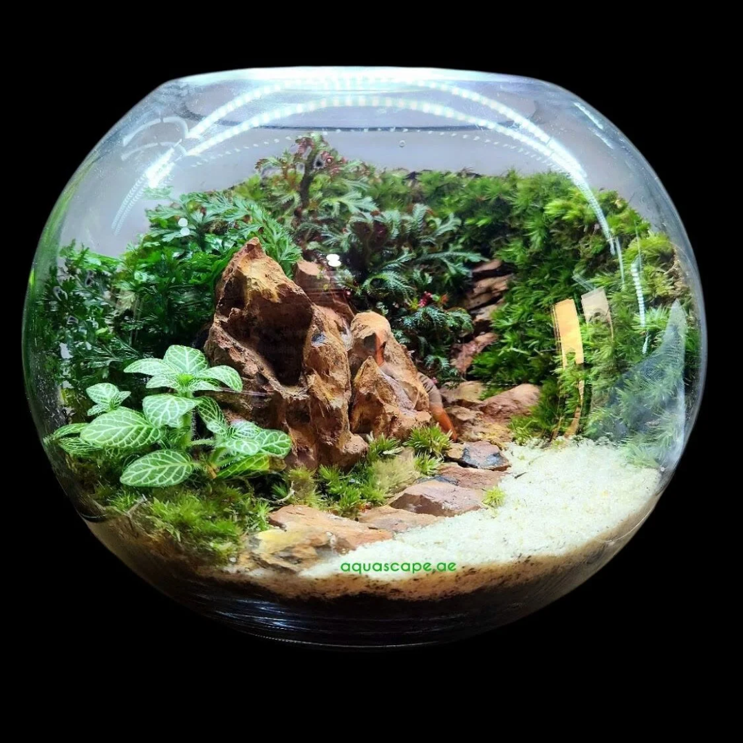 Lush Tropical Terrarium Glass Bowl Decor