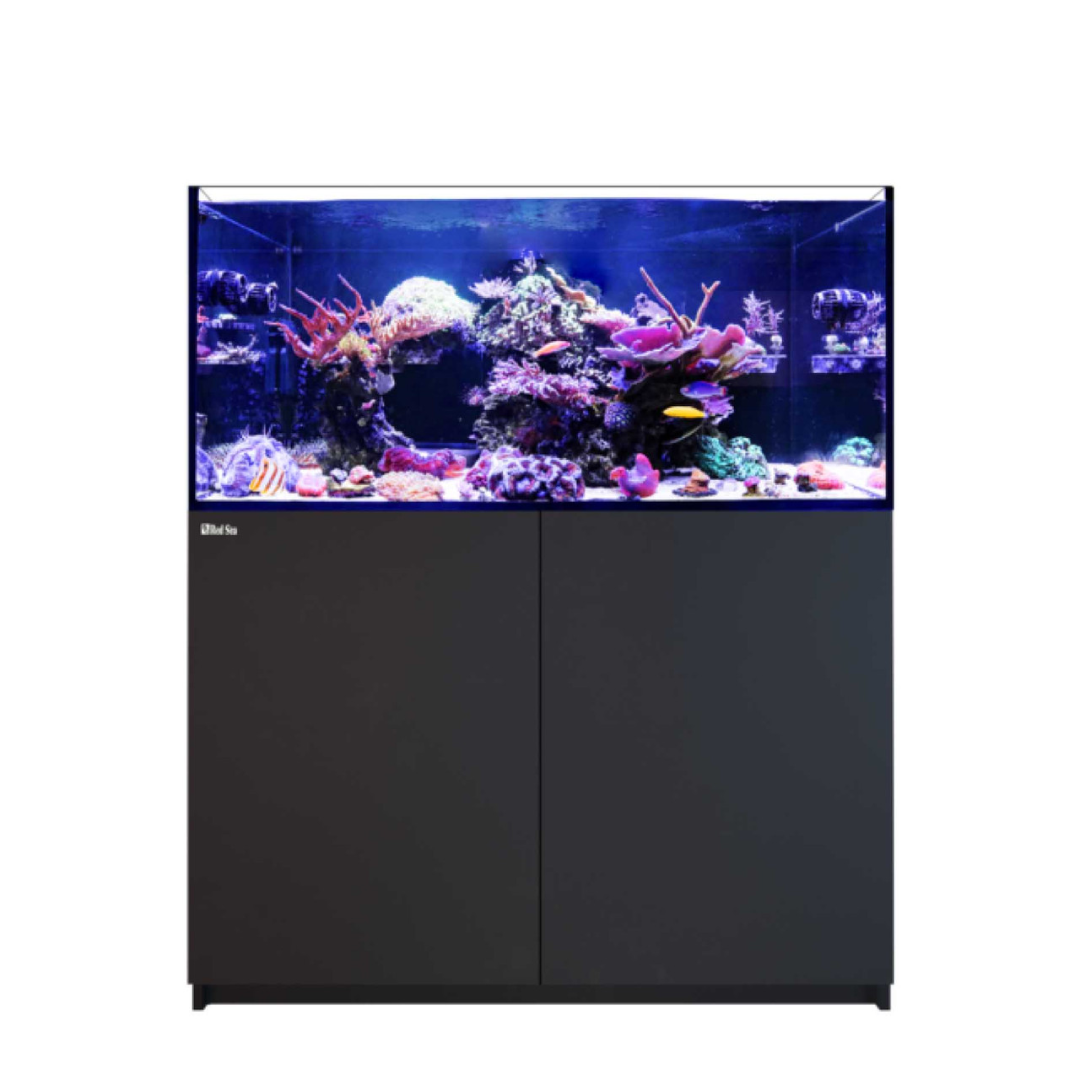Reefer 350 G2 Plus Saltwater Aquarium Setup