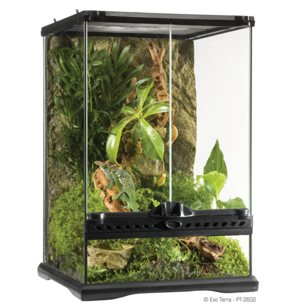 Exo Terra Glass Vivarium For Reptiles