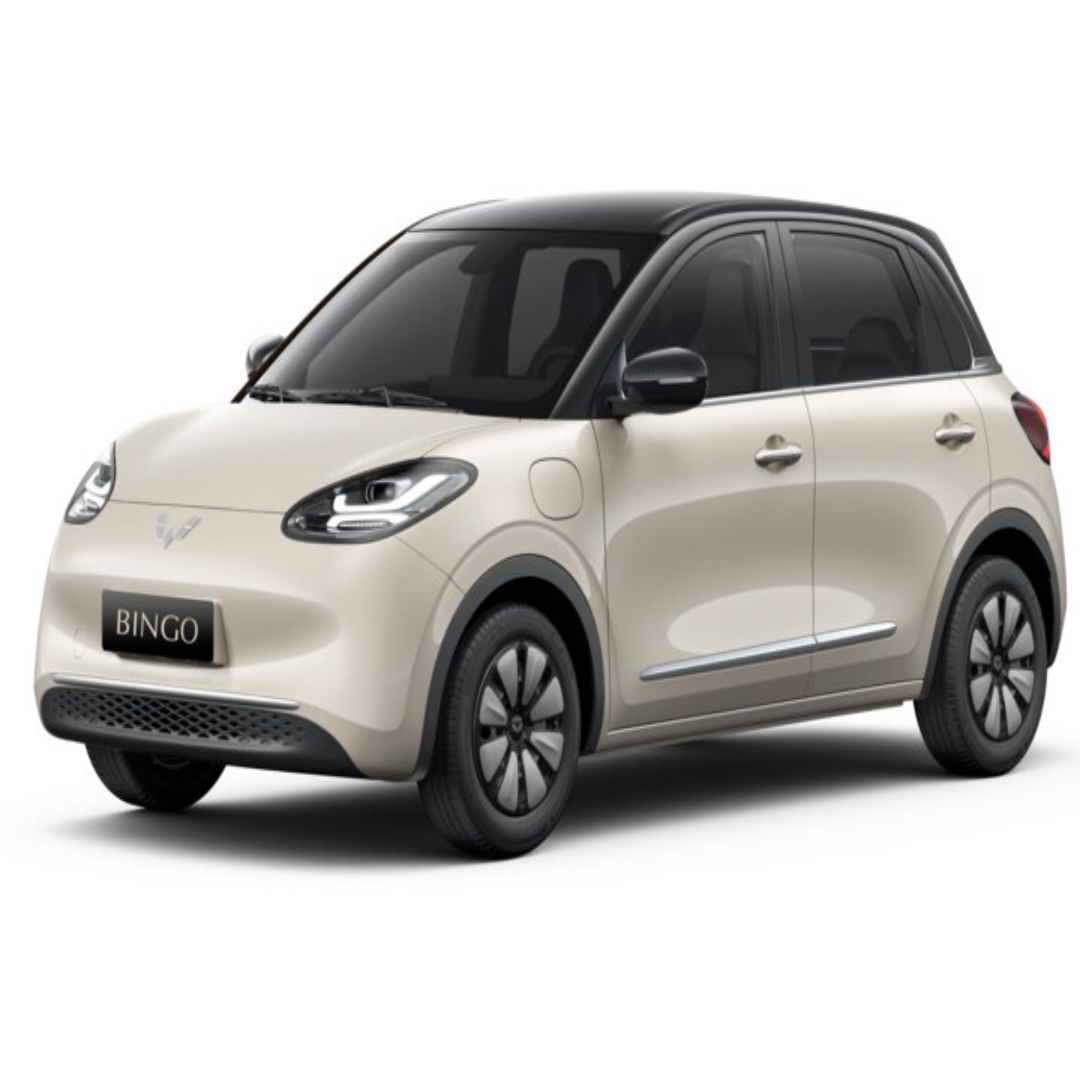 Bingo 333KM White Milk Coffee Electric Car Deals