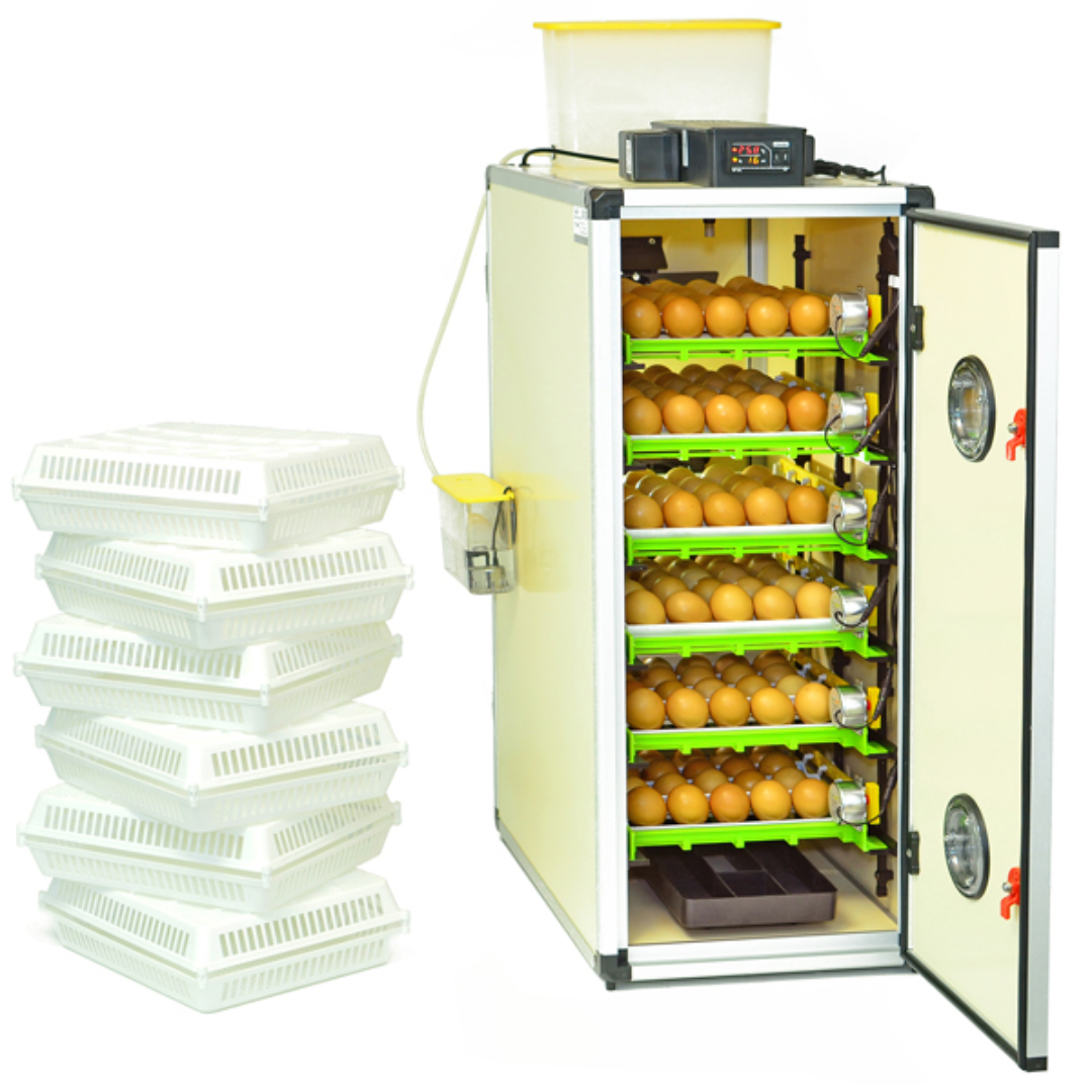 Egg Incubator Setter Hatcher CT180 SH Available