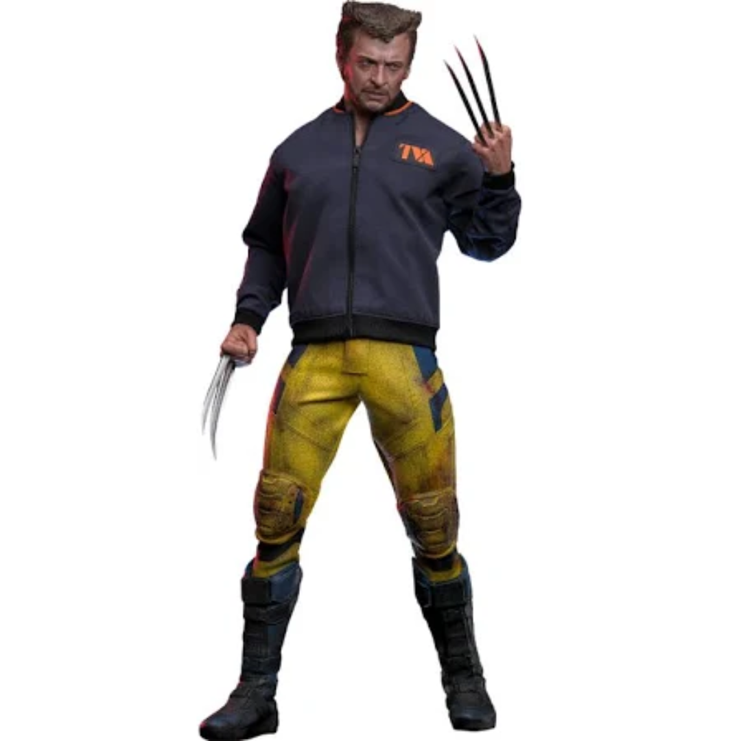 Hot Toys Wolverine 1/6th Scale Figure Collectibles Online