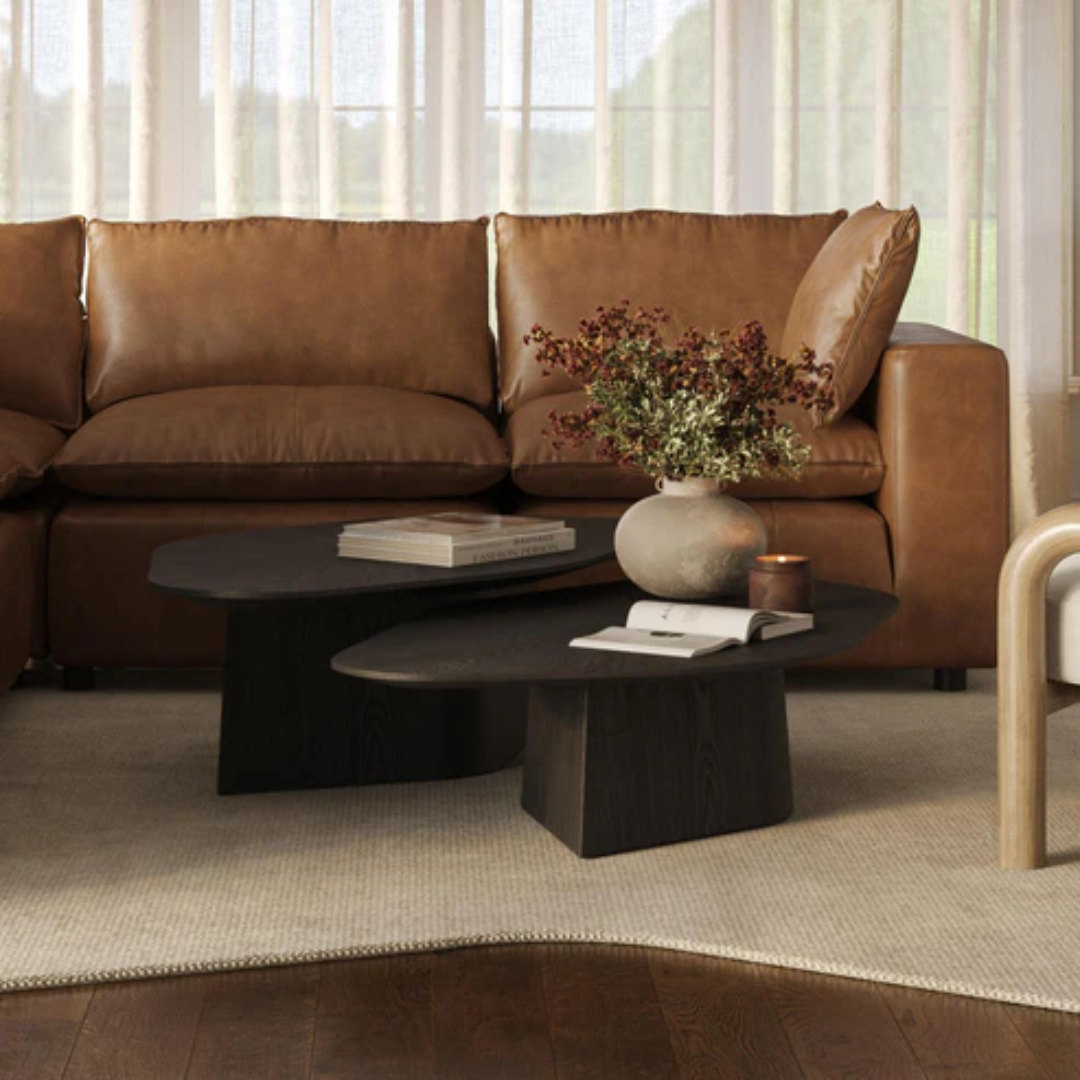 Roche 2-Piece Nesting Coffee Tables for Chic Compact Spaces