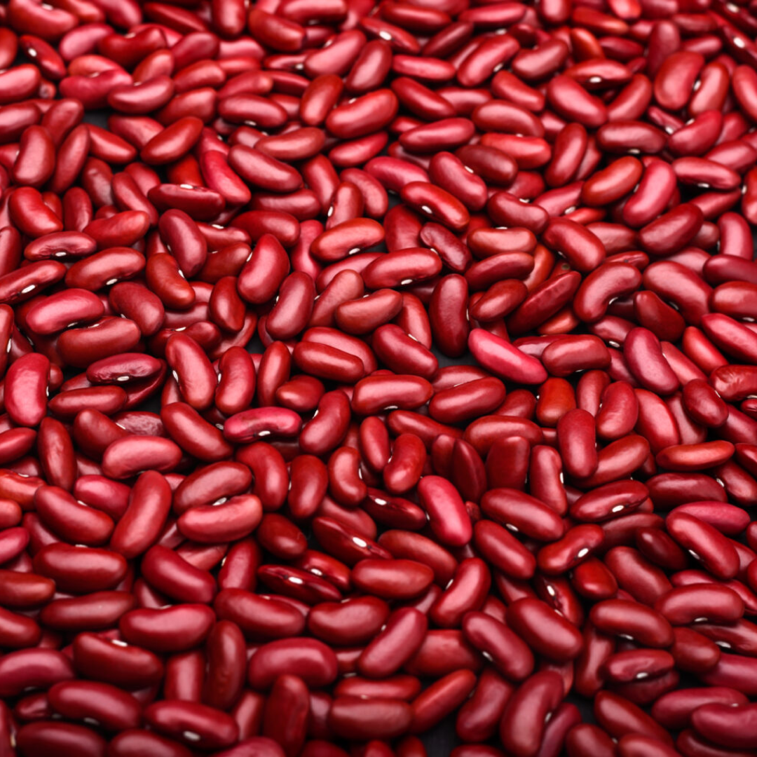 Red Beans Supplier For Fresh Healthy Cooking