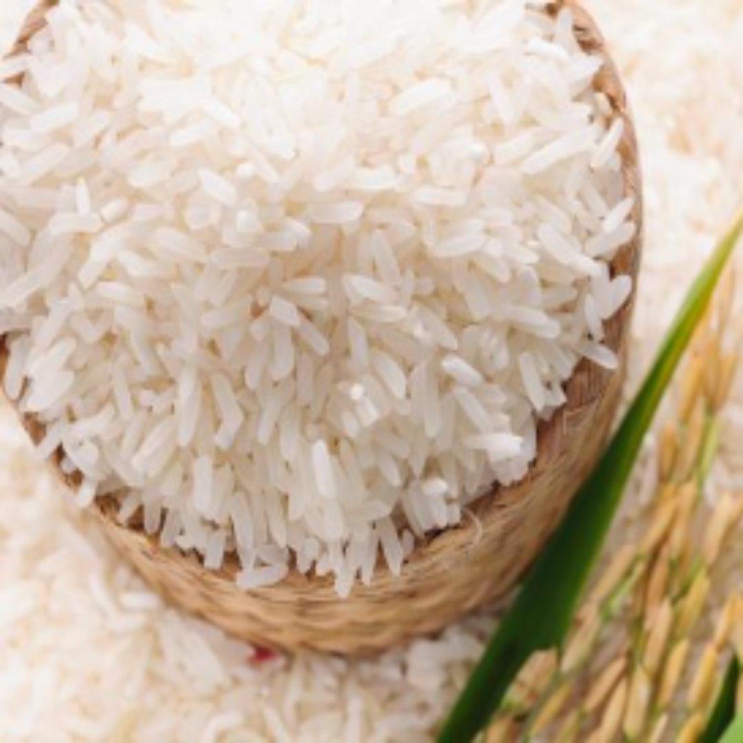 Thai Hom Mali Cargo Rice Distributor For Quality