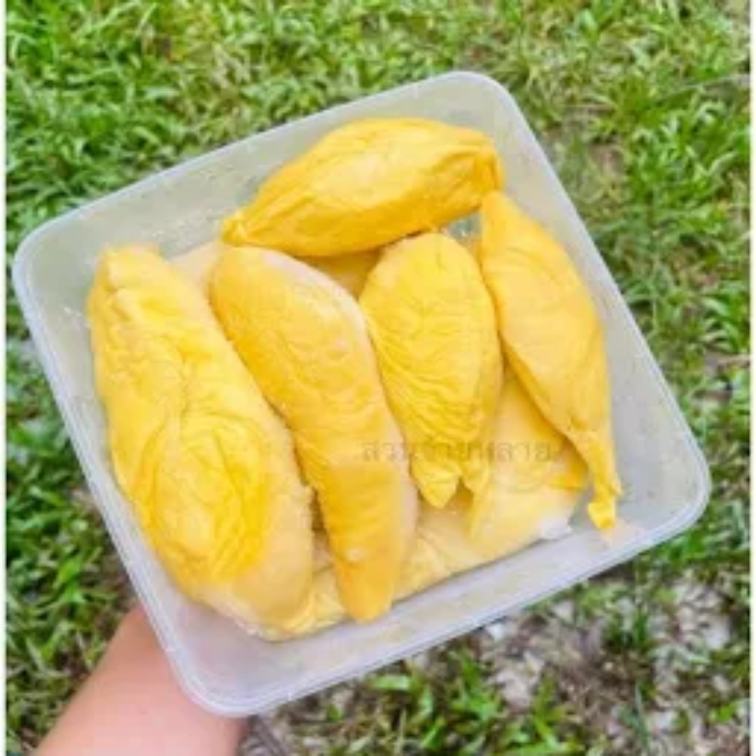 Frozen Durian Fruit For Exotic Sweet Treats