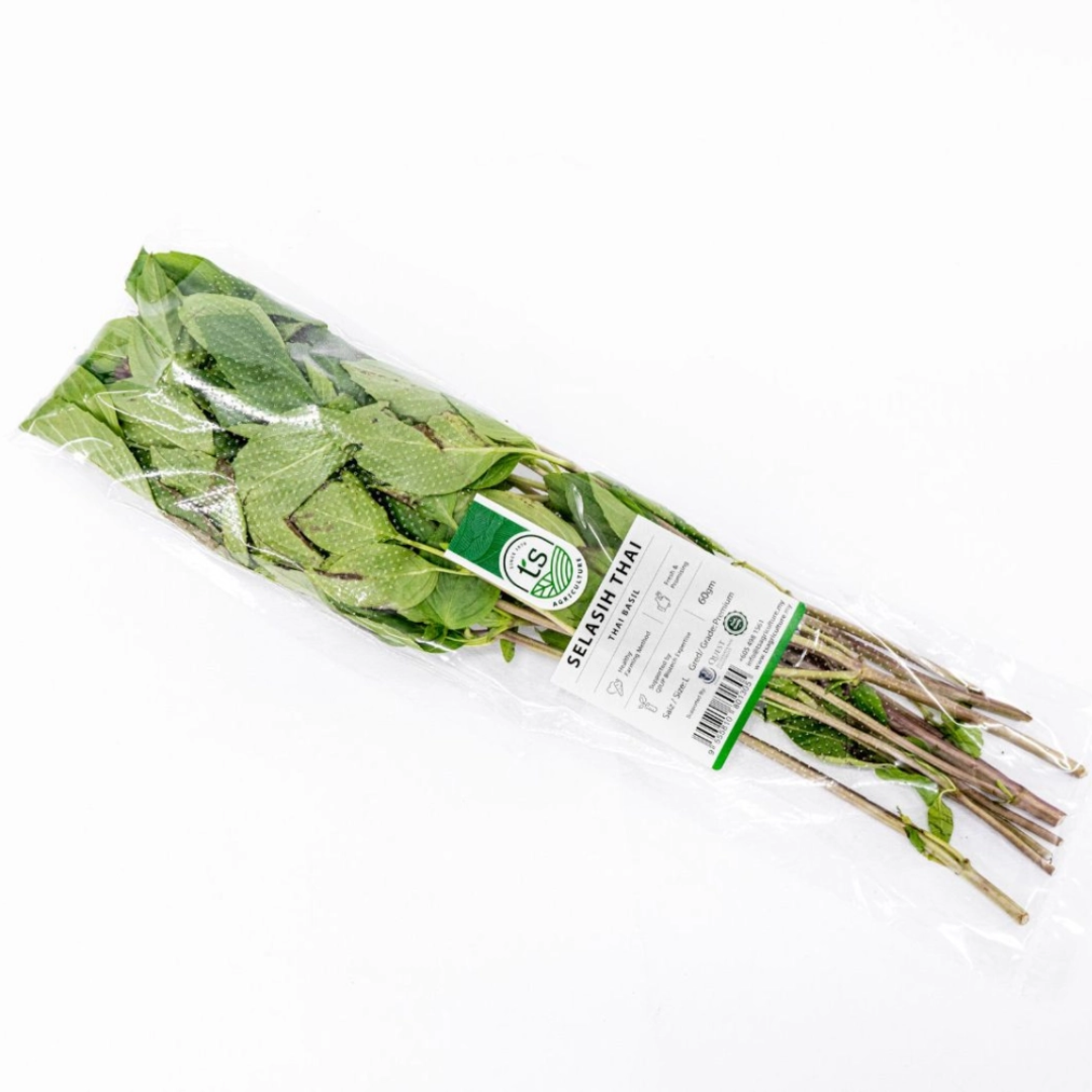 Thai Basil 60gm Aromatic Herb Malaysia