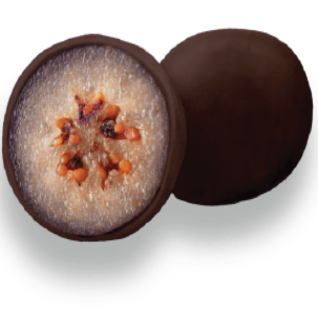 BLUEBERRY FRUIT COATED WITH CHOCOLATE