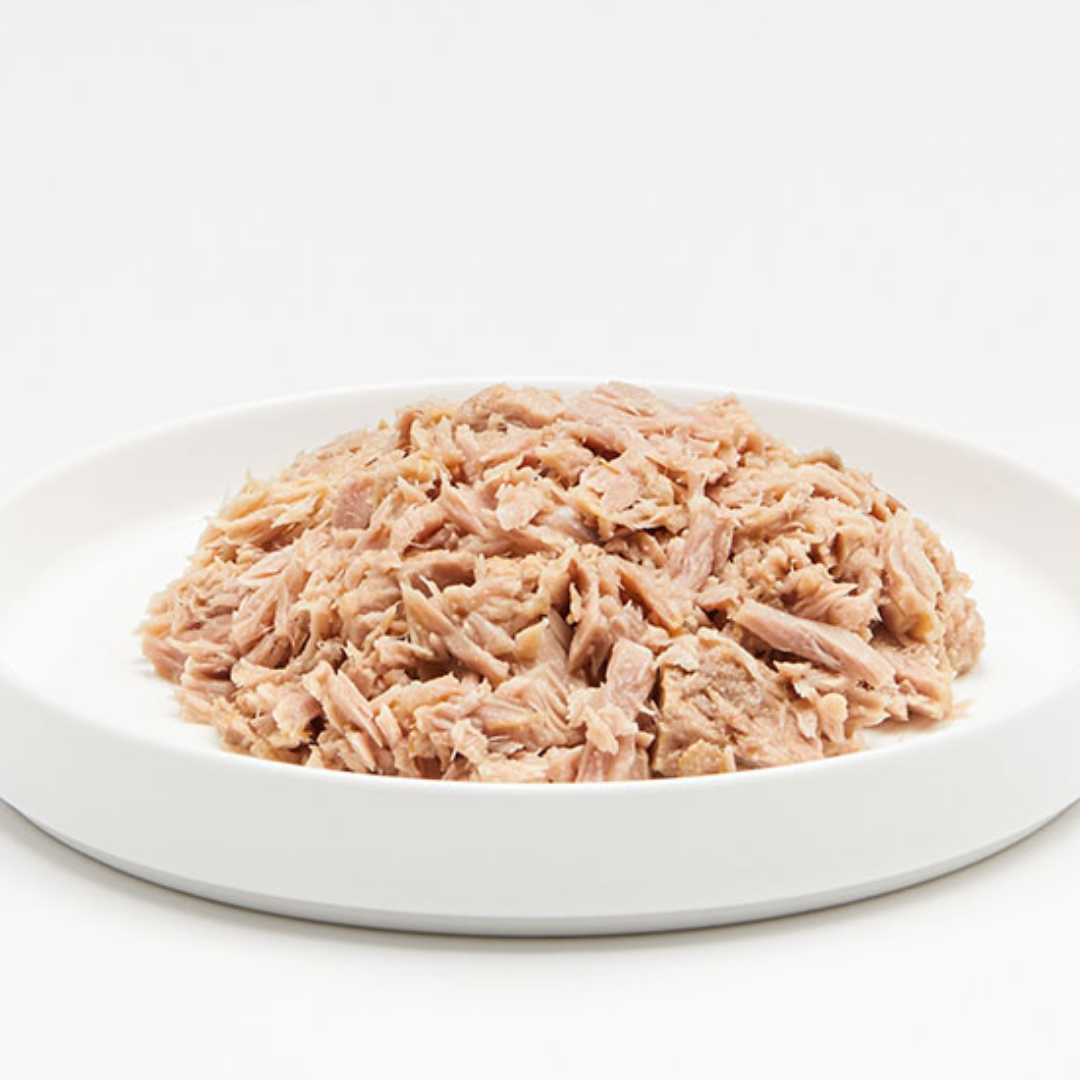 Canned Tuna Shredded For Tasty Culinary Uses