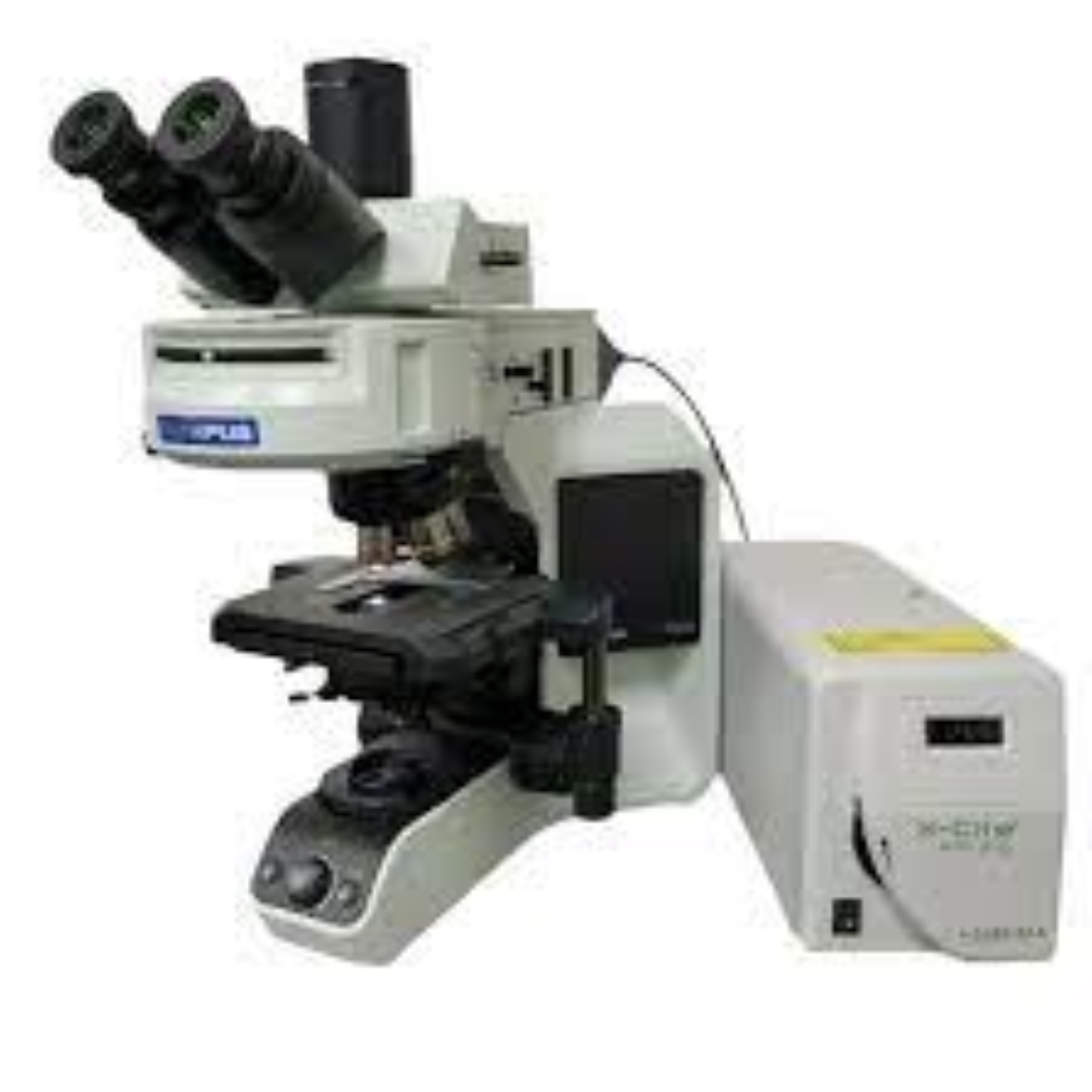Fluorescence Microscopes For Detailed Imaging