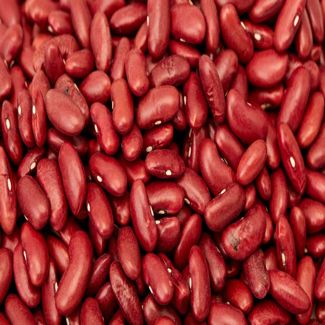 Wholesale Bean Protein Supplier in UAE