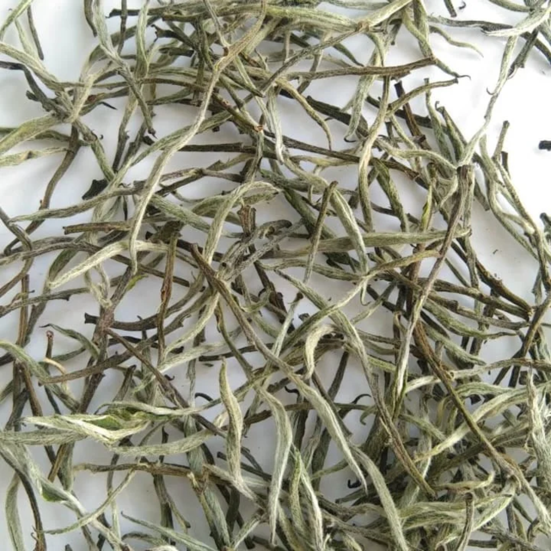 Darjeeling Silver Needles White Tea, Leaf