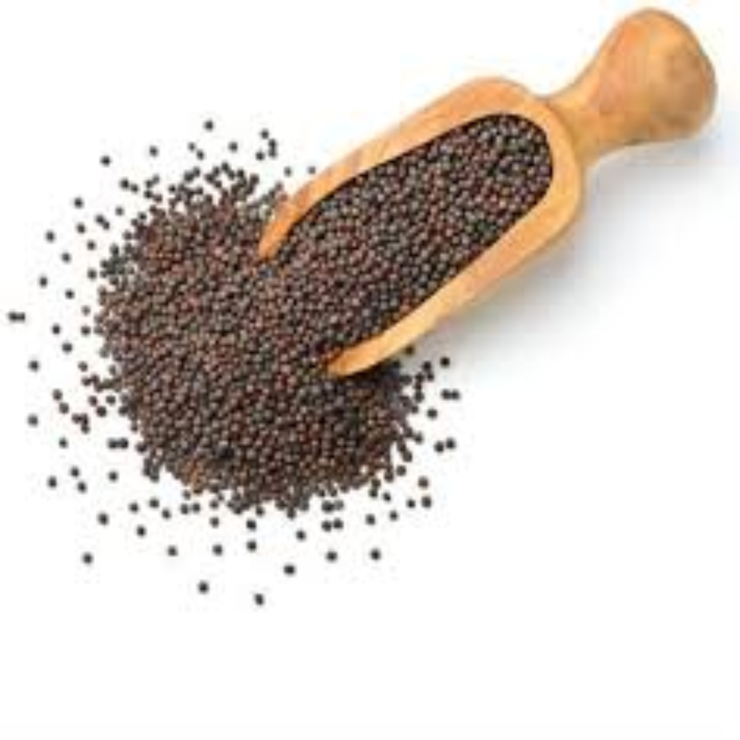 Mustard Seeds – Premium Quality Suppliers UAE, Gulf Region
