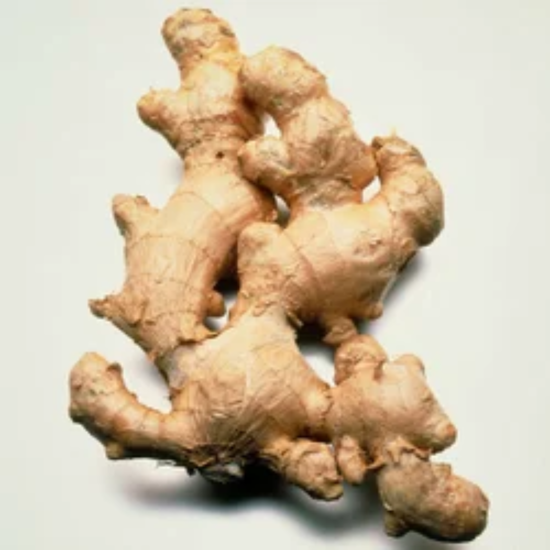 A Grade Fresh Ginger,Packaging Size : 50Kg