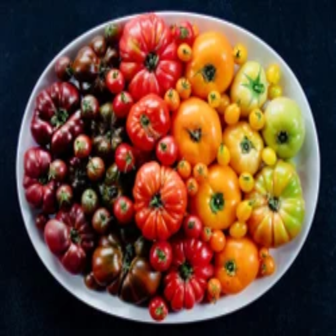 Premium Heirloom Tomatoes from Saudi Supplier