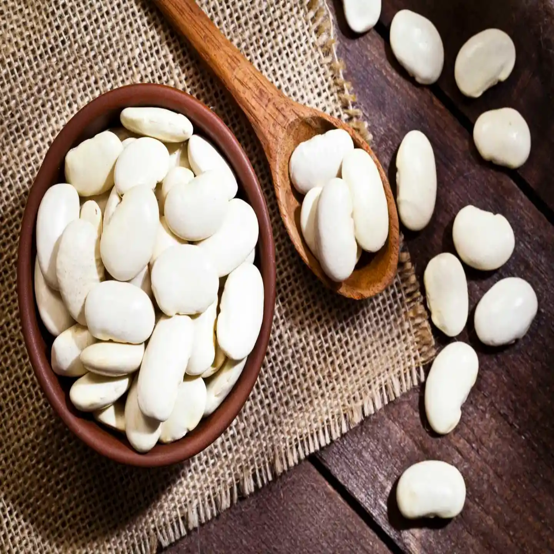 Canned Lima Beans Wholesale For Healthy Cooking