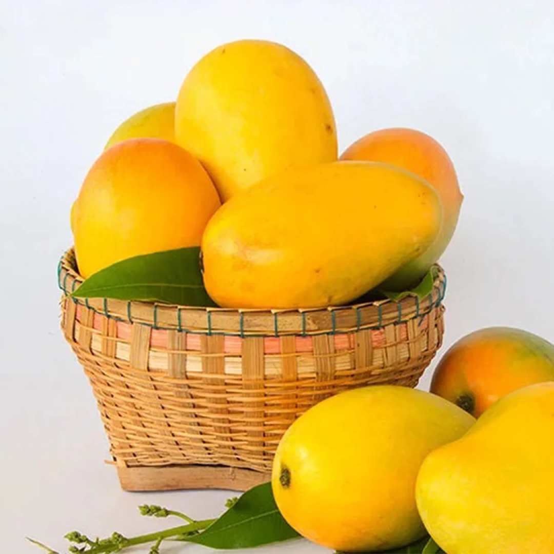 Kesar Mango Celebrated for Saffron Aroma and Royal Sweet Taste