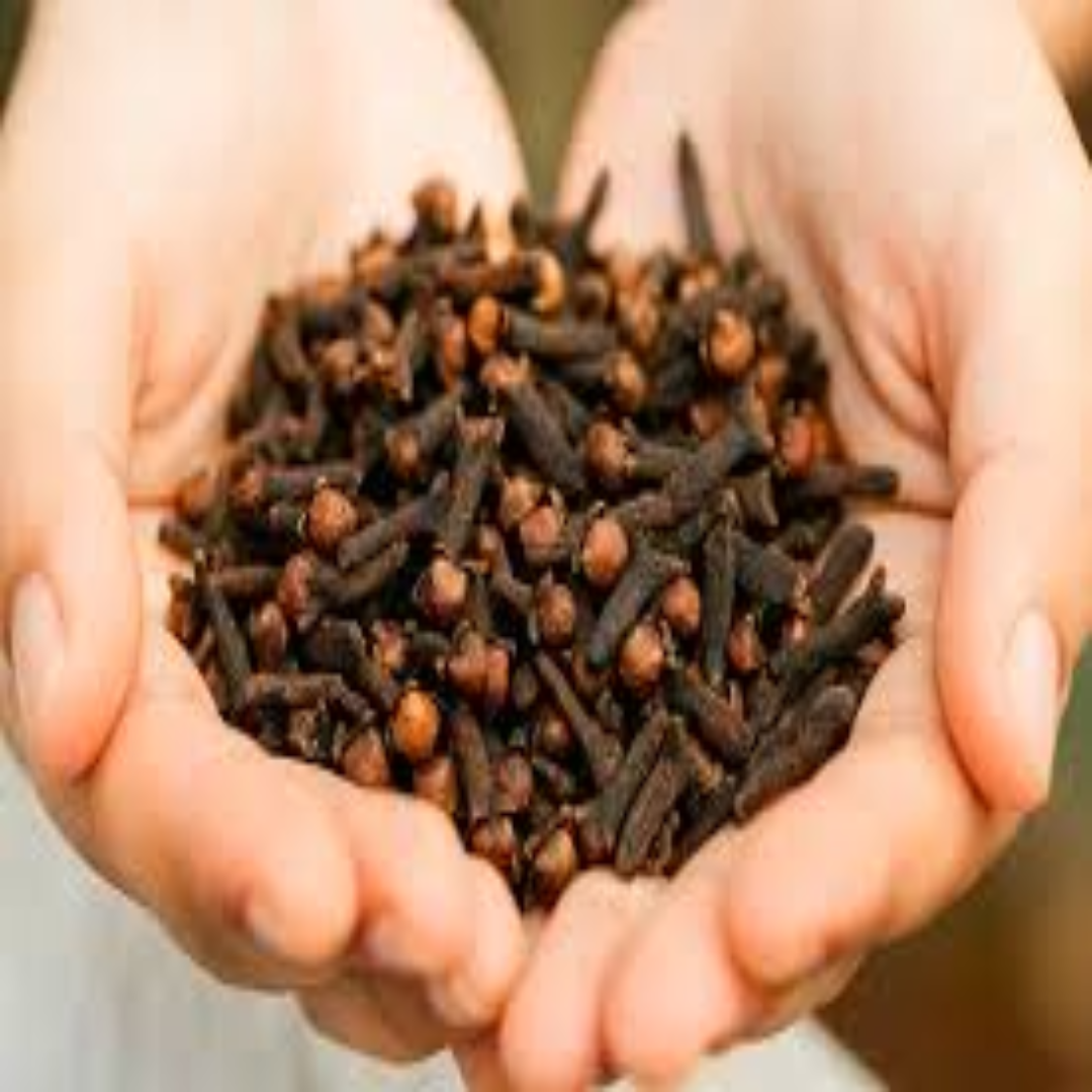 Clove For Rich Aroma And Bold Flavor