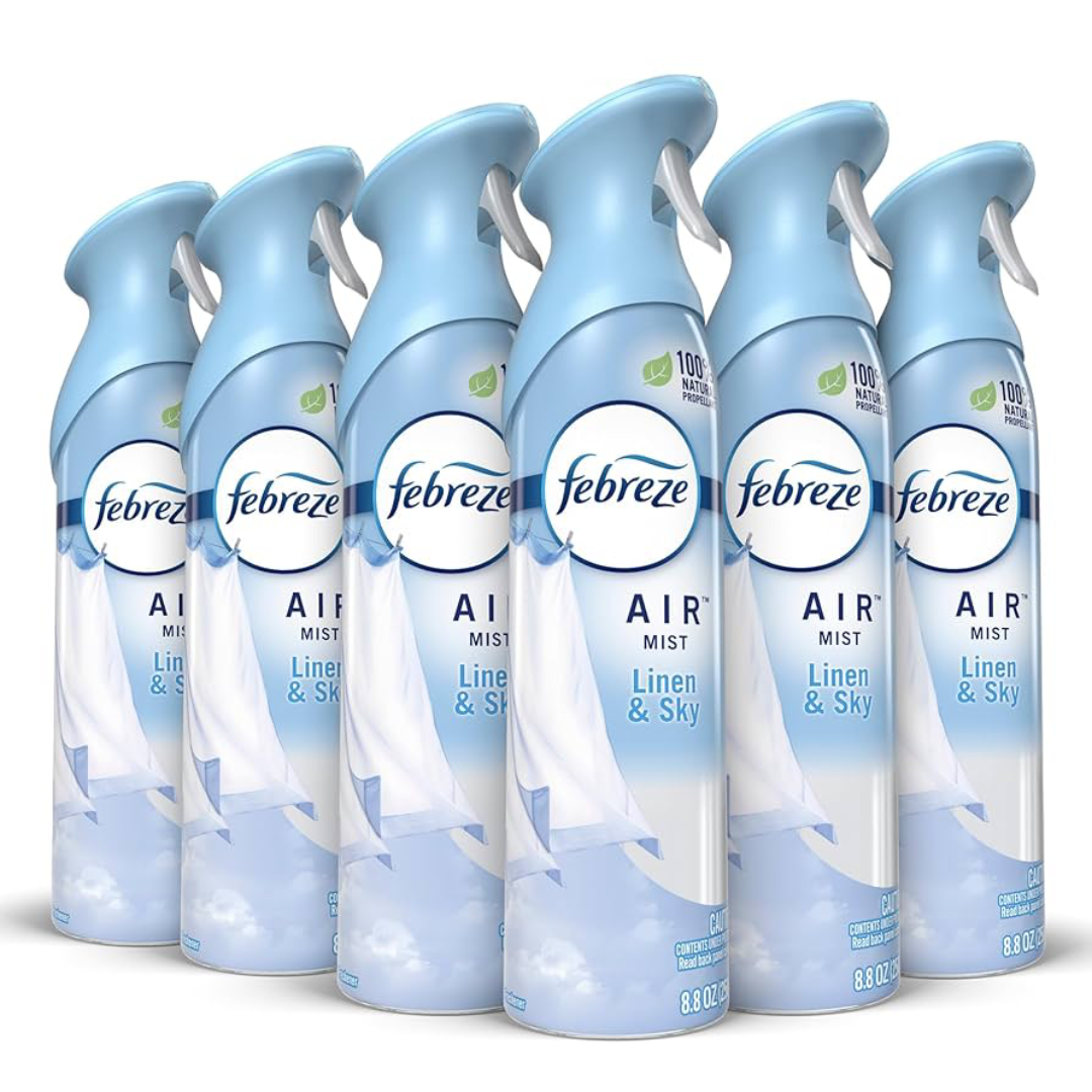 Long Lasting Air Fresheners for Fresh Home Atmosphere