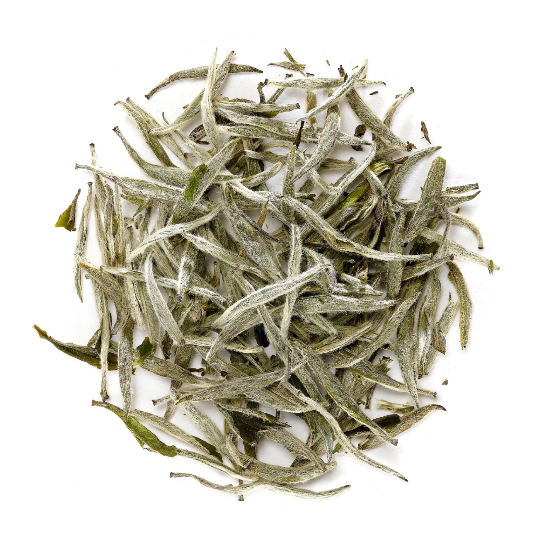 Wholesale Silver Needle Tea Supplier in UAE