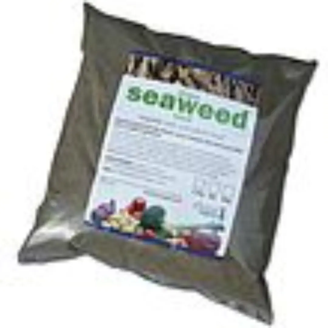 Premium Seaweed Meal for Plants – Organic Garden Feed | UK Wholesale
