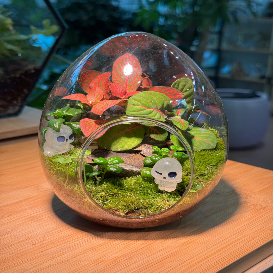 Fittonia & Fern Terrarium in Glass Malaysia