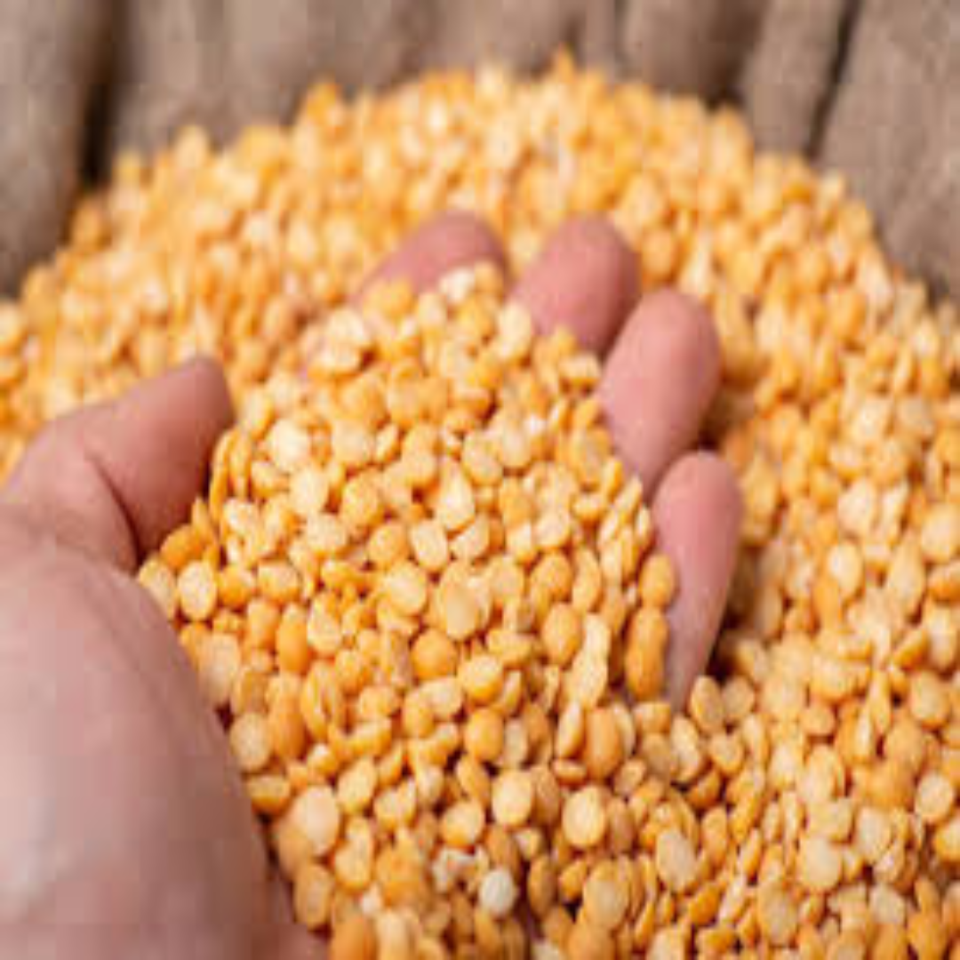Split Peas Wholesale For Nutritious Meal Prep