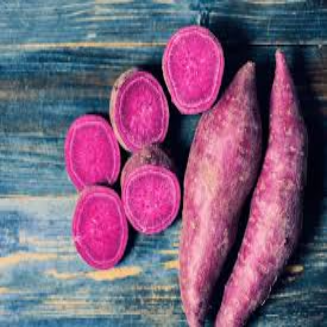 Japanese Sweet Potato Distributor For Sweet Taste
