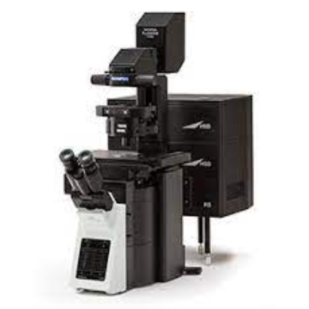 Confocal Fluorescence Microscopes For Detailed Imaging