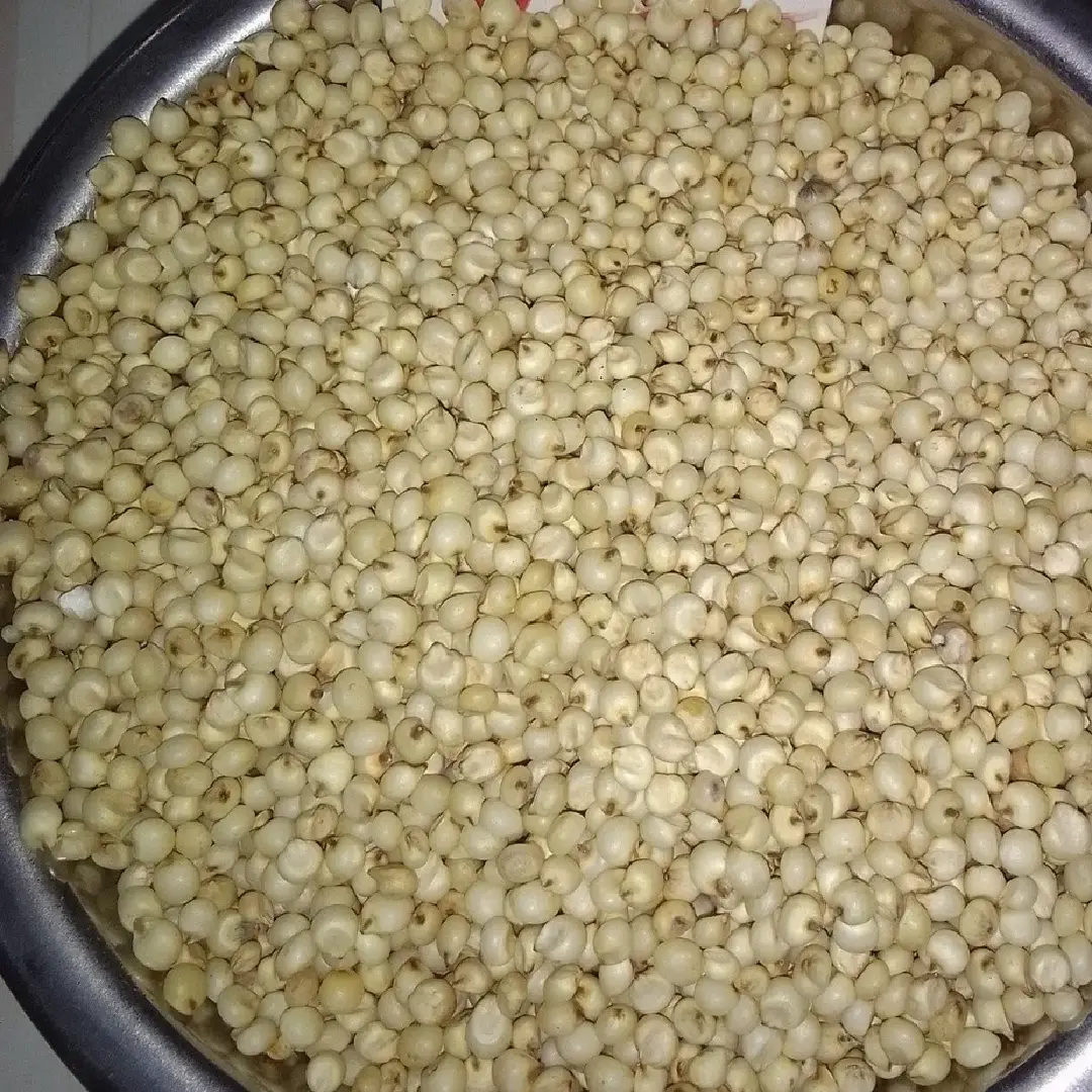 White Sorghum Whole Grains – Protein-Rich & Nutritious for Meals