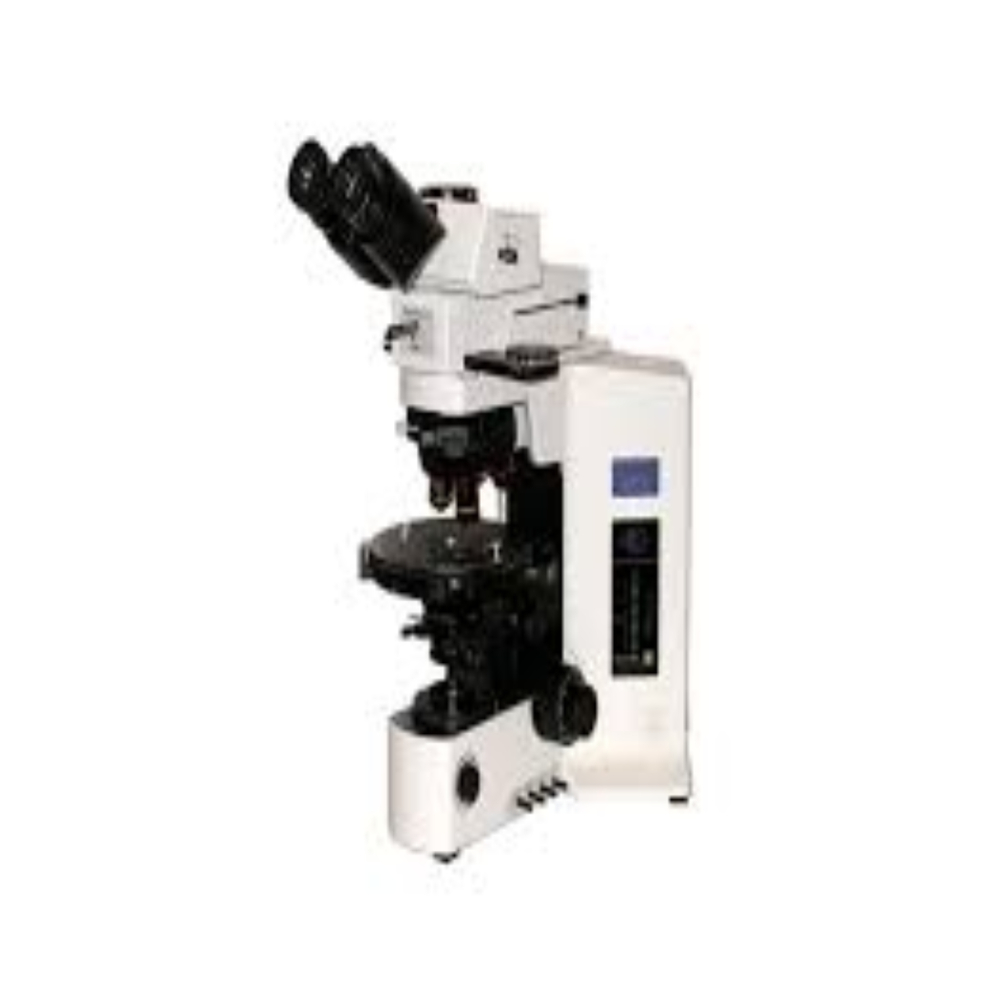 Best Fluorescence Microscopes For Lab Research And Imaging