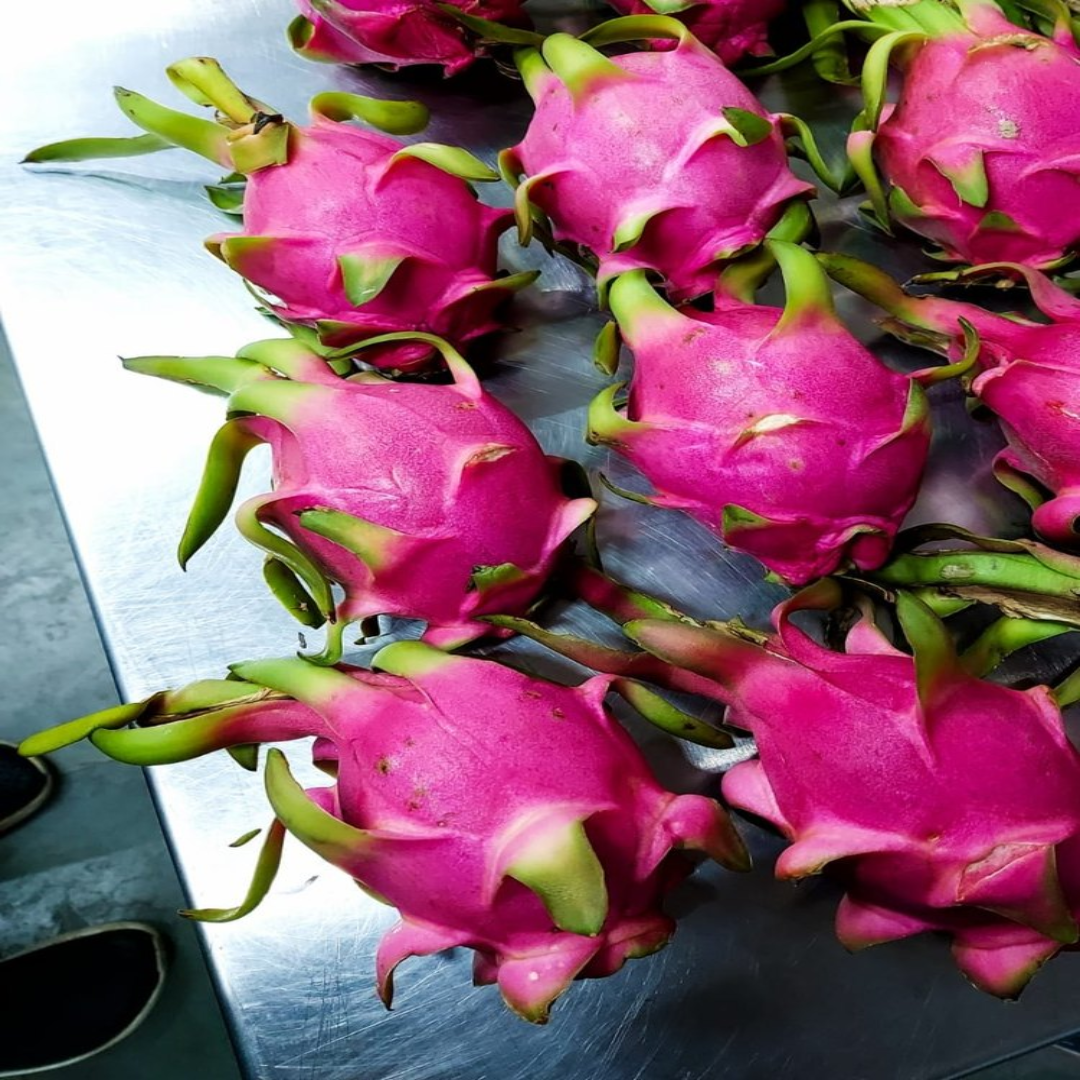 A Grade Red Dragon Fruit, Packaging Type: Carton, Packaging Size: 5 Kg