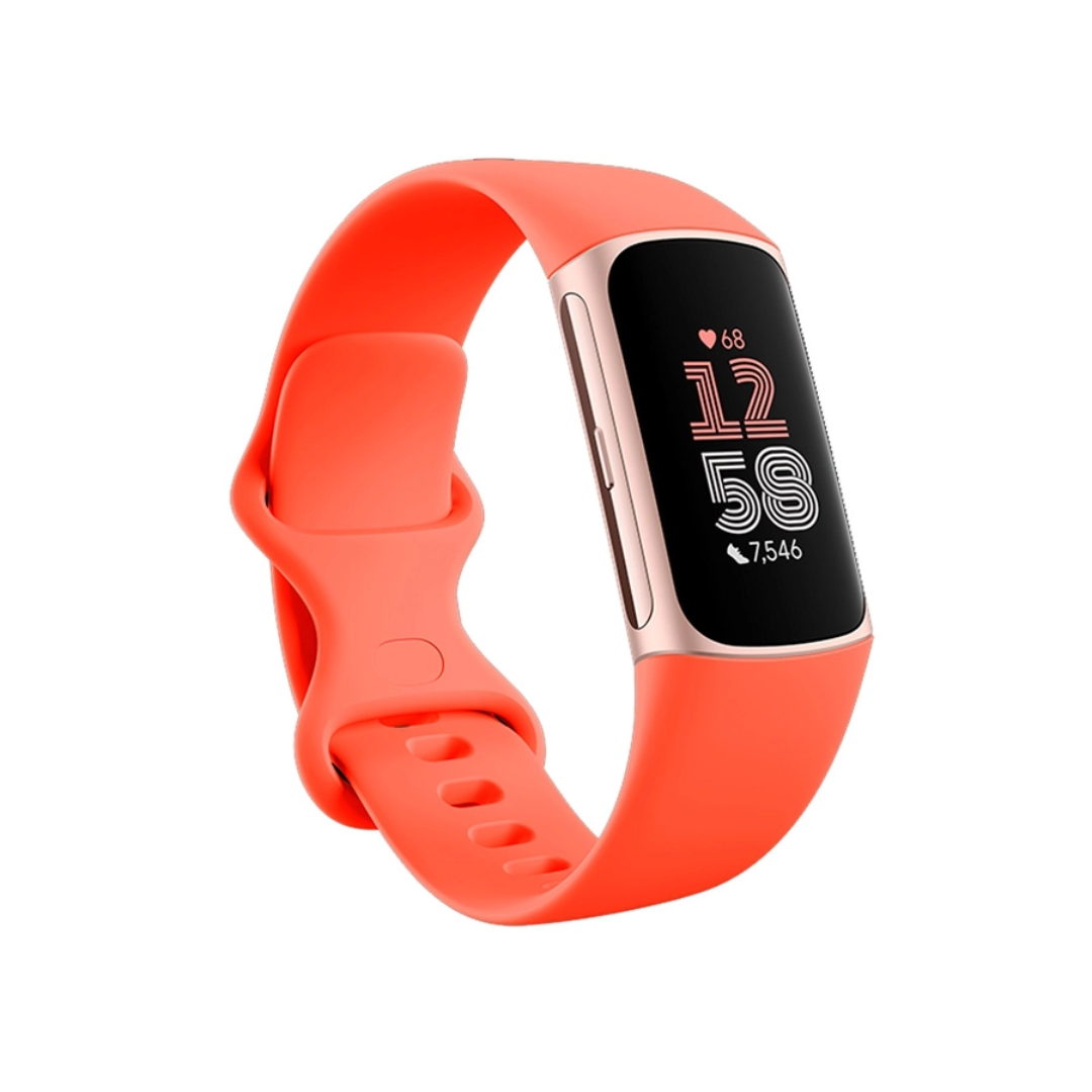 Fitbit Charge 6 Tracker Vietnam – Smart Fitness Insights