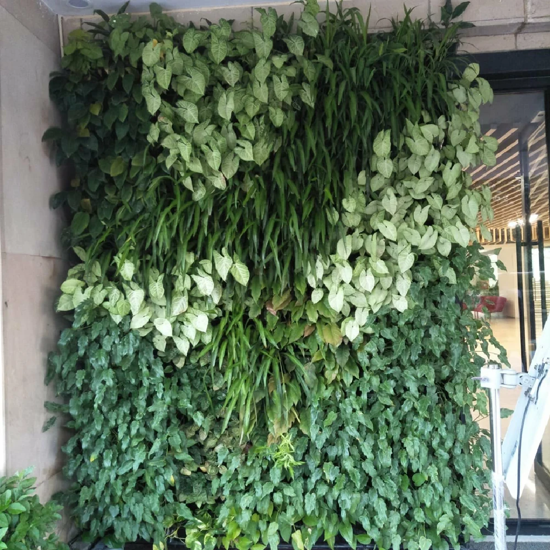 PVC Green Wall Natural Vertical Garden