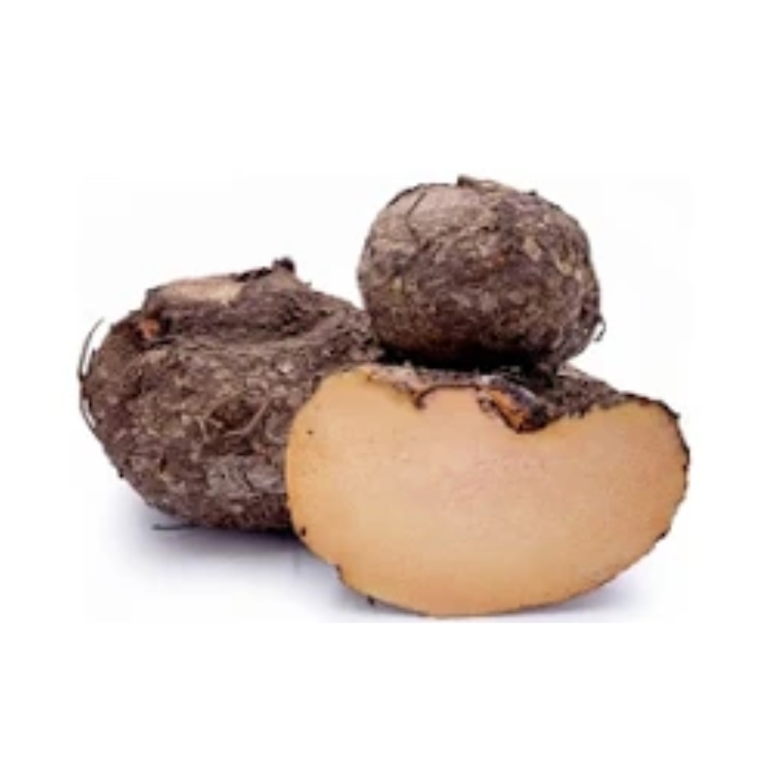 Suran (Elephant Foot Yam) – Verified Exporters