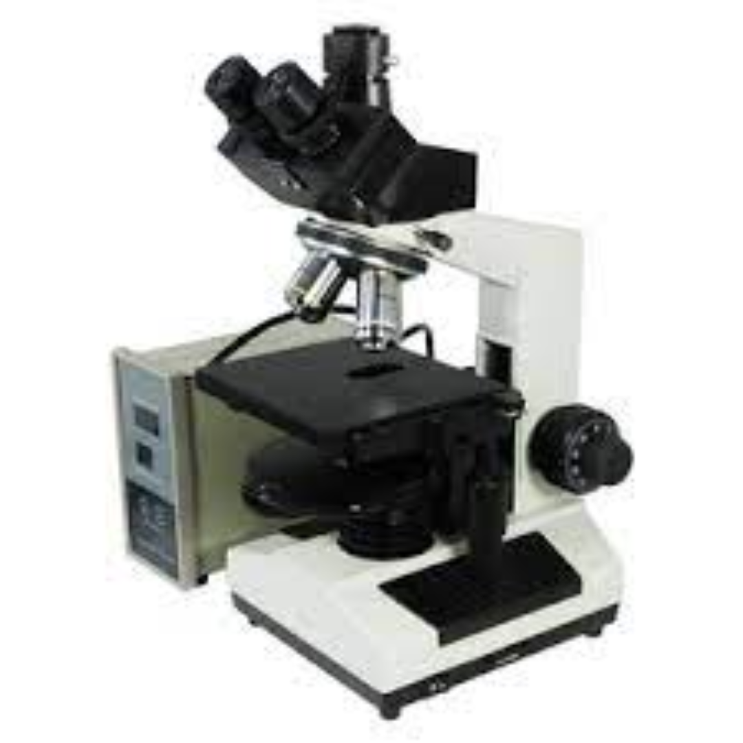 Phase Contrast Microscopes For Precise Cell Imaging